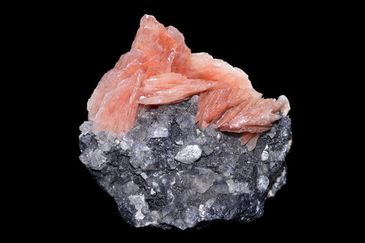 Crystalline Cerussite on Barite mineral specimen from Mibladen district, Morocco, featuring translucent white crystals on light-colored barite.