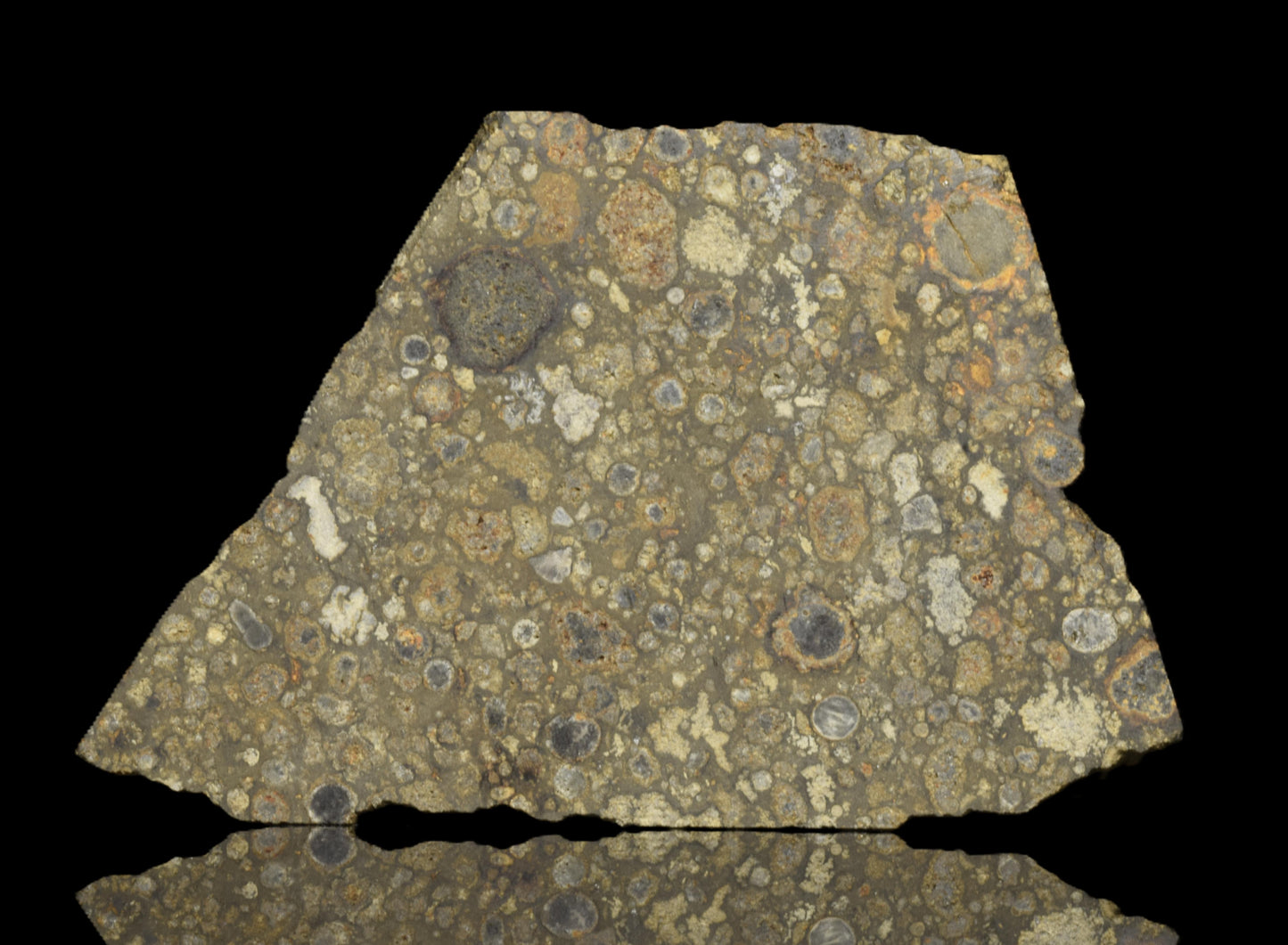 Close-up of NWA 14004 CV3 meteorite slice showing textured metallic surface and mineral inclusions, from Buy Meteorite, LLC.