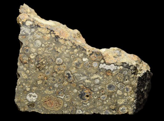 NWA 14004 CV3 meteorite slice weighing 4.44 grams showing dark fusion crust and crystalline interior, from Buy Meteorite, LLC.