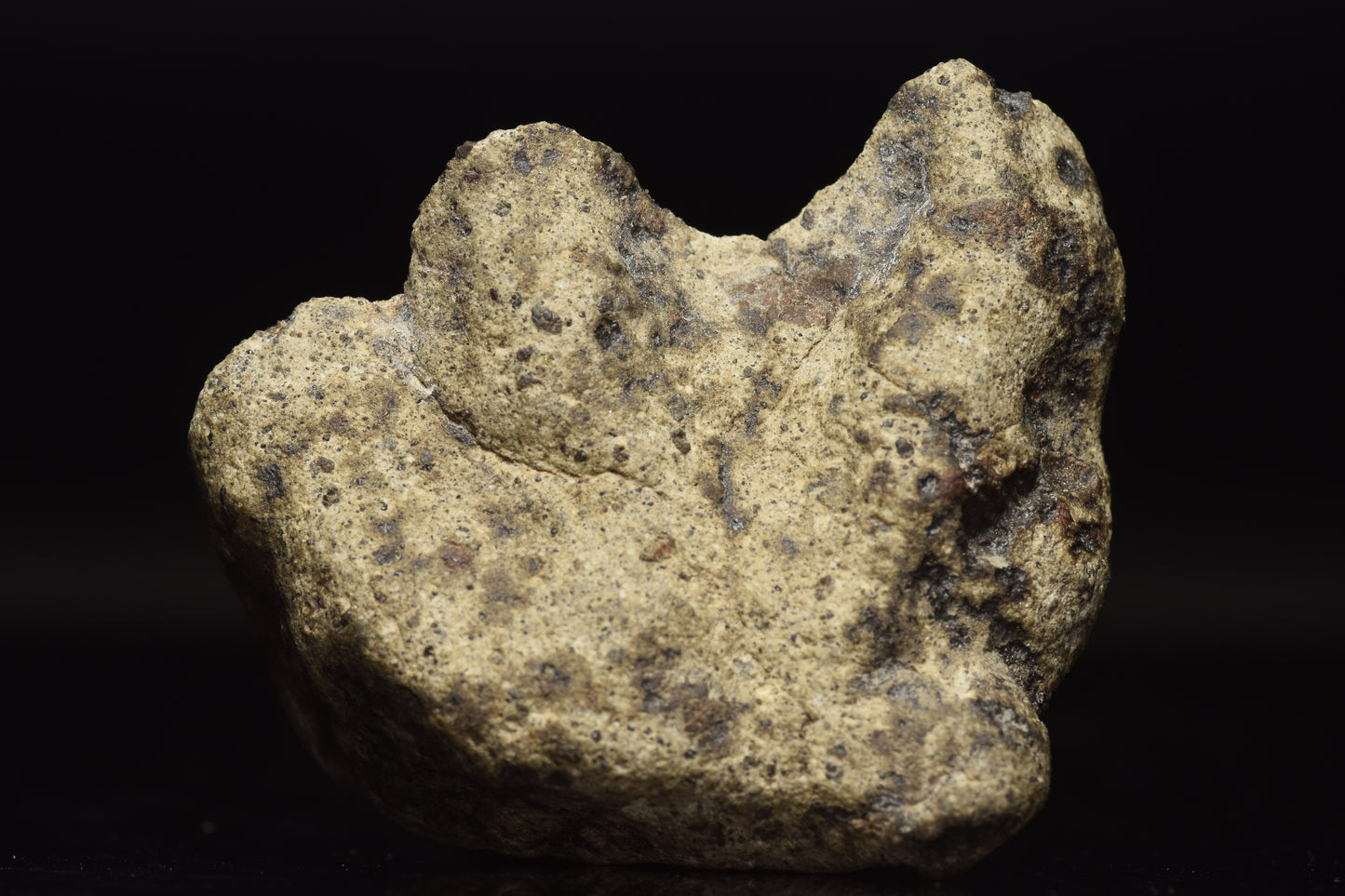 NWA 15405 Eucrite Endcut 31.17 G