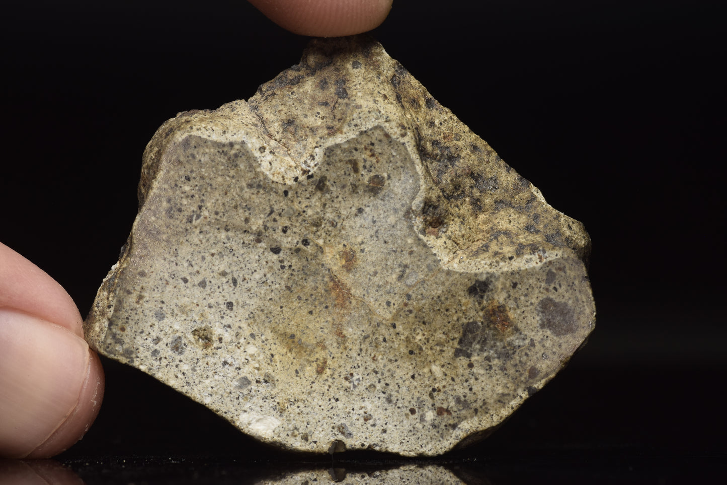 NWA 15405 Eucrite Slice 17.36 G