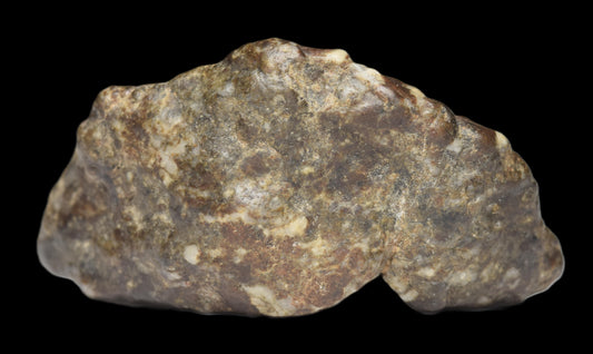 NWA 12344 Eucrite meteorite fragment weighing 4.73 grams, showcasing a textured, dark stone with mineral inclusions.