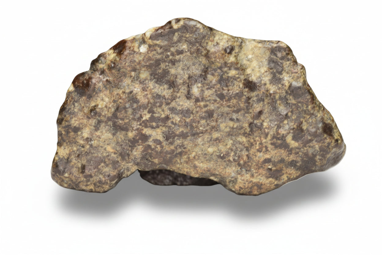 Close-up of NWA 12344 Eucrite meteorite fragment weighing 4.73 grams, showing its textured, rocky surface and mineral details.
