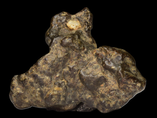 Close-up of NWA 12344 Eucrite meteorite fragment weighing 6.24 grams, showing its textured, dark, rocky surface.