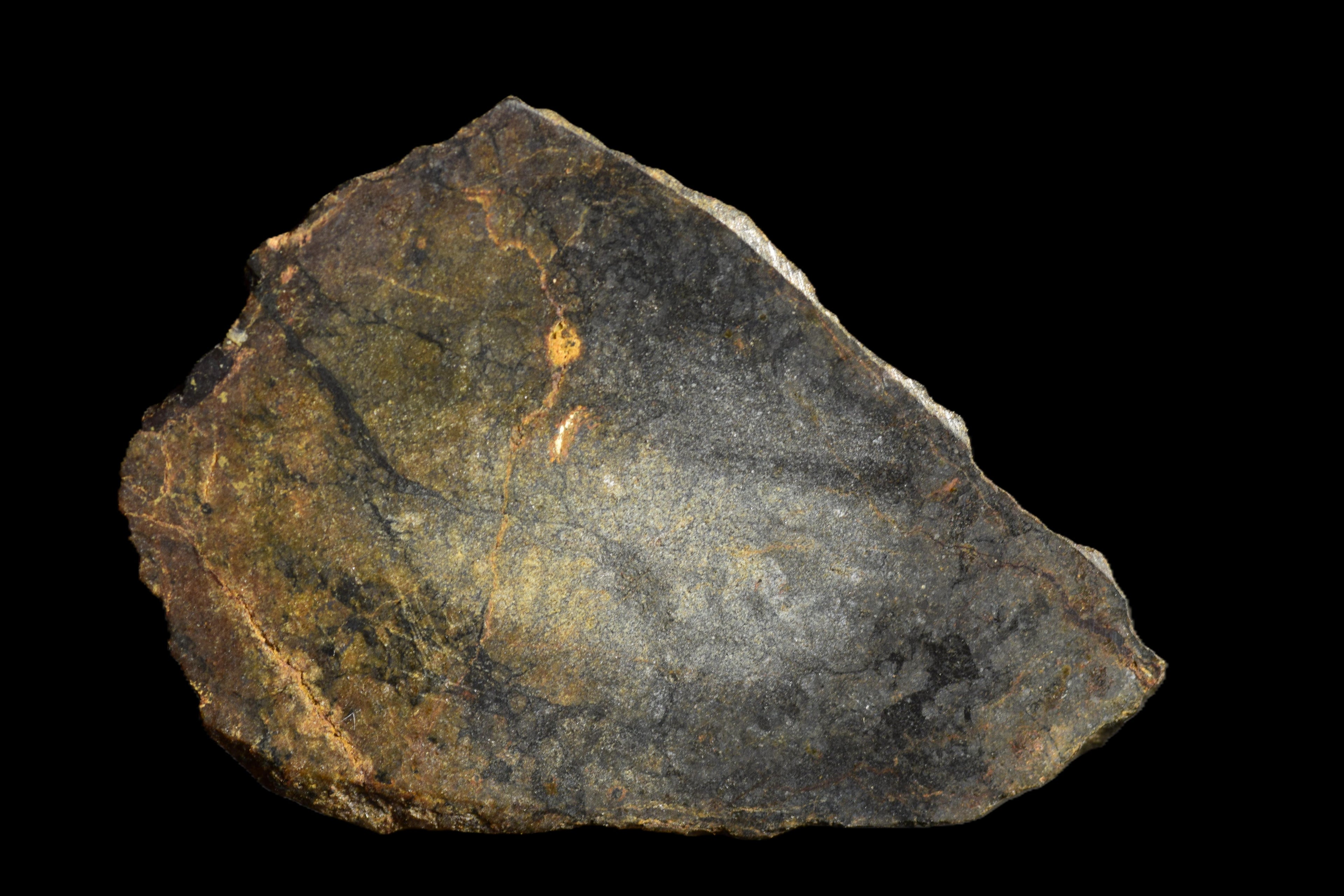 NWA 13272 Ungrouped Achondrite 3.09 G