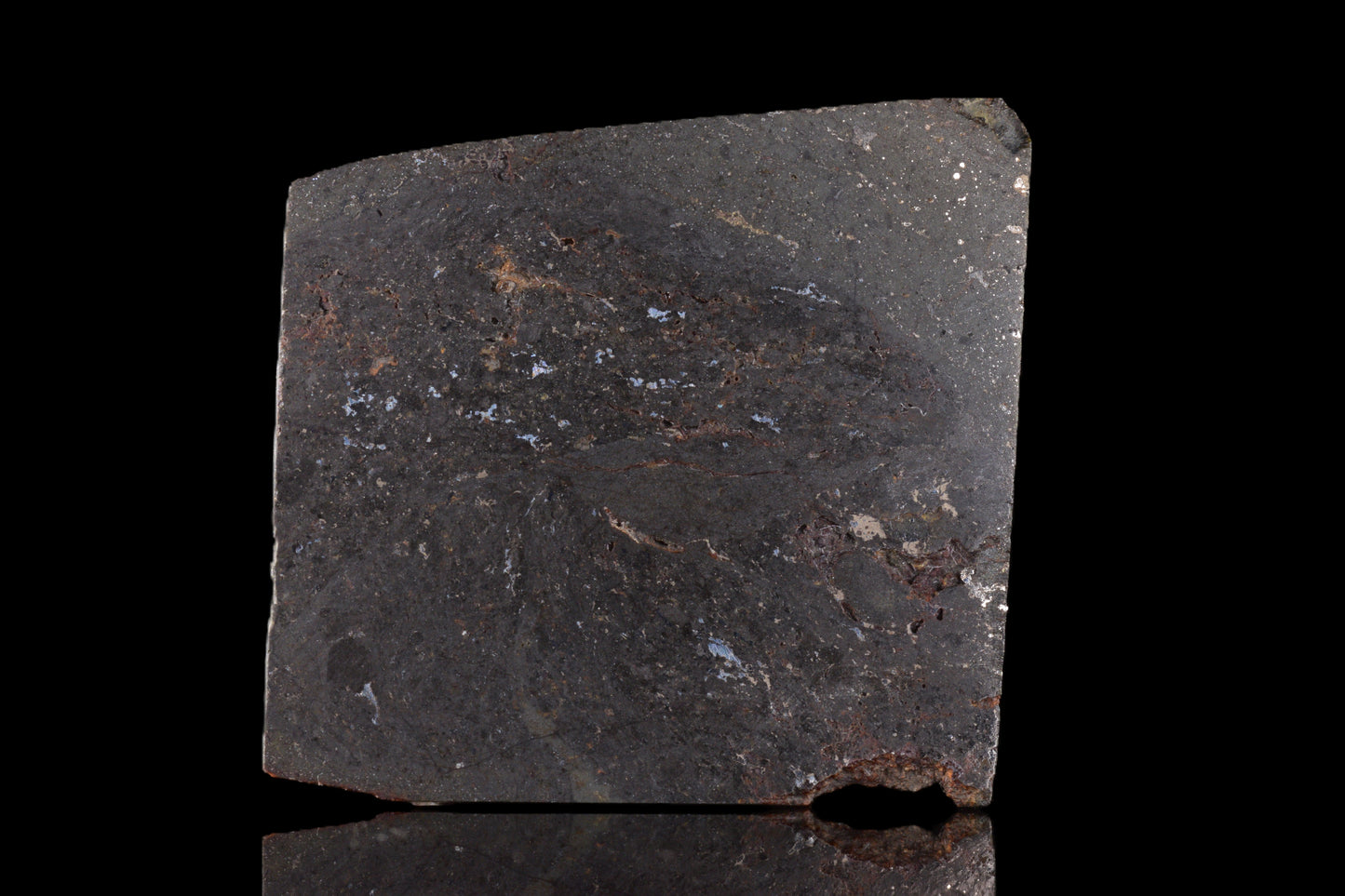 NWA 15404 L-melt rock 1.91 g