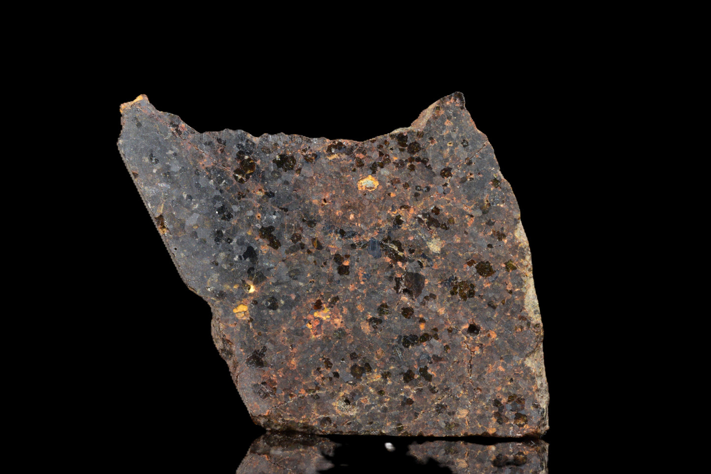 NWA 11756 Brachnite 2.86 G