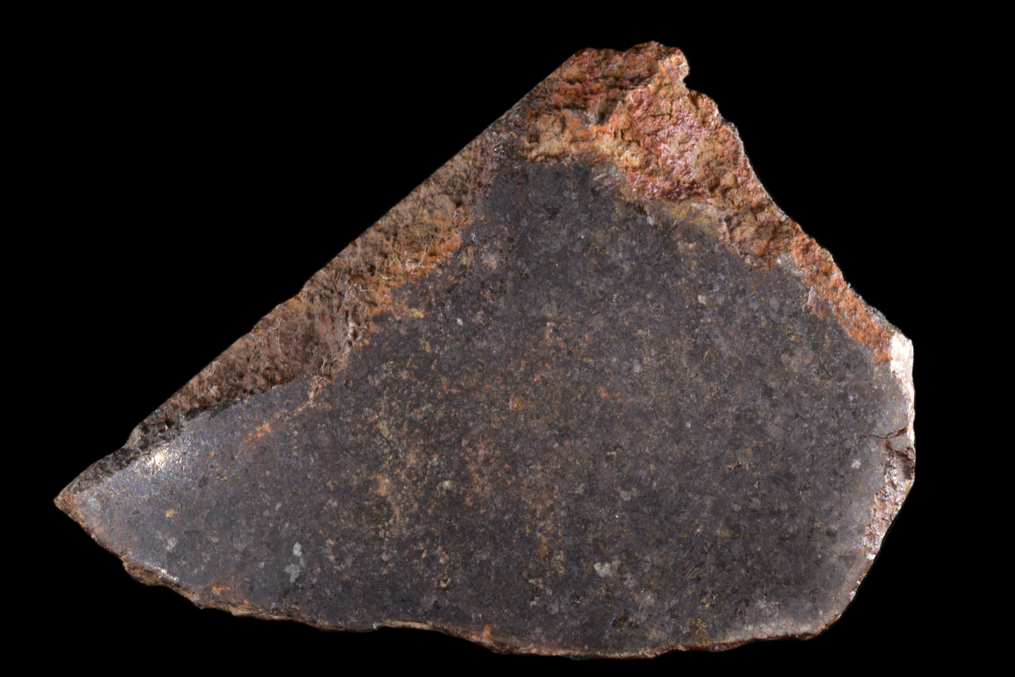 NWA 11757 Ureilite 29.05 G