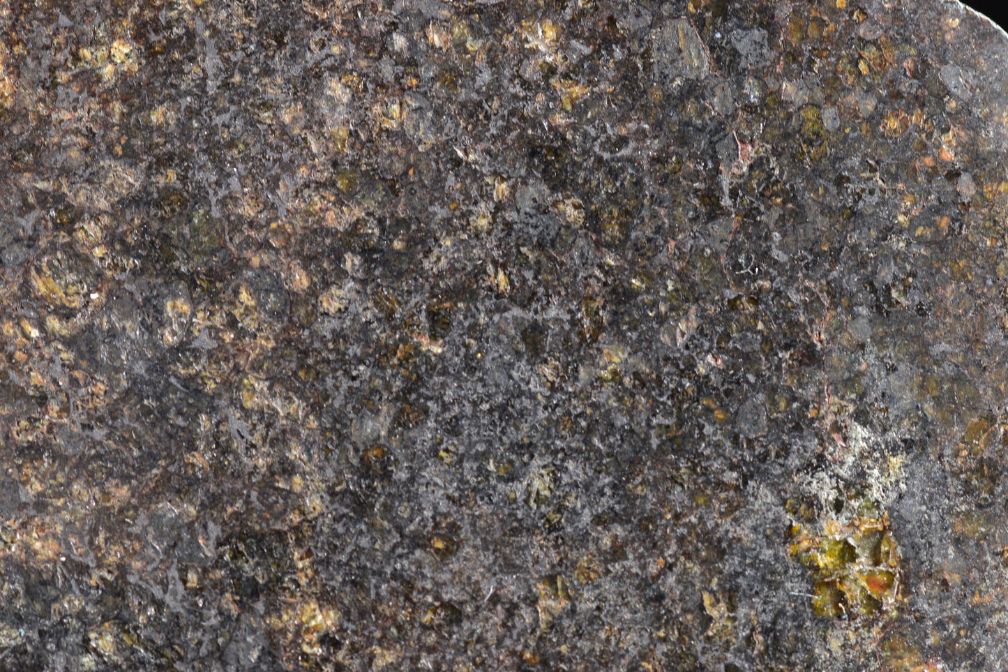 NWA 11757 Ureilite Meteorite For Sale