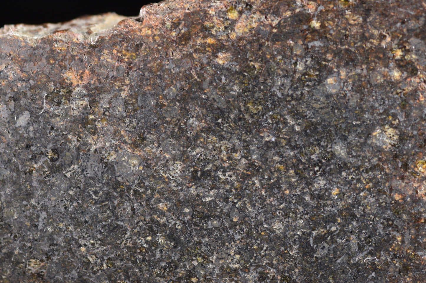 NWA 11757 Ureilite Meteorite For Sale