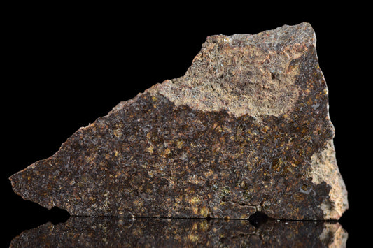 Ureilite meteorite NWA 11757 weighing 8.7 grams, showcasing its textured surface and unique extraterrestrial origin.