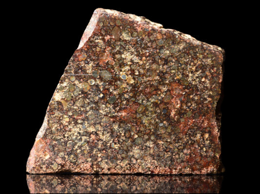 NWA 12341 L3 meteorite with a 4.6g weight, showing dark, textured surface and chondrite structure, from Buy Meteorite, LLC.