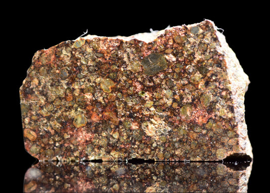 NWA 12341 L3 ordinary chondrite meteorite slice weighing 1.88 grams, displayed with detailed textures and mineral inclusions.