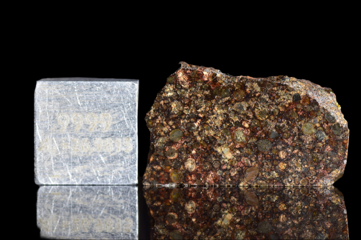 NWA 12341 L3 meteorite slice showing gray chondrite texture and mineral inclusions, from Buy Meteorite LLC.
