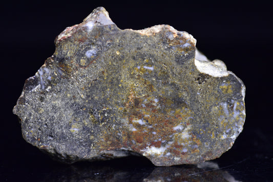 NWA 12344 Eucrite meteorite endcut showing rough, dark textured surface with mineral inclusions, sold by Buy Meteorite LLC.