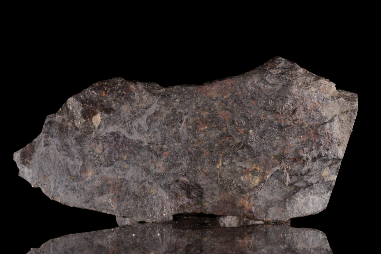 Meteorite NWA 12858 R3 weighing 119.7 grams, shown in a detailed close-up image, from Buy Meteorite LLC.