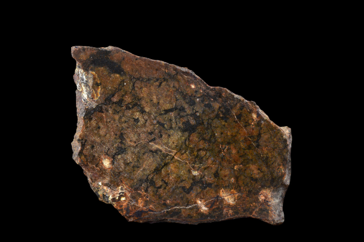 NWA 13272 Ungrouped Achondrite 2.65 G