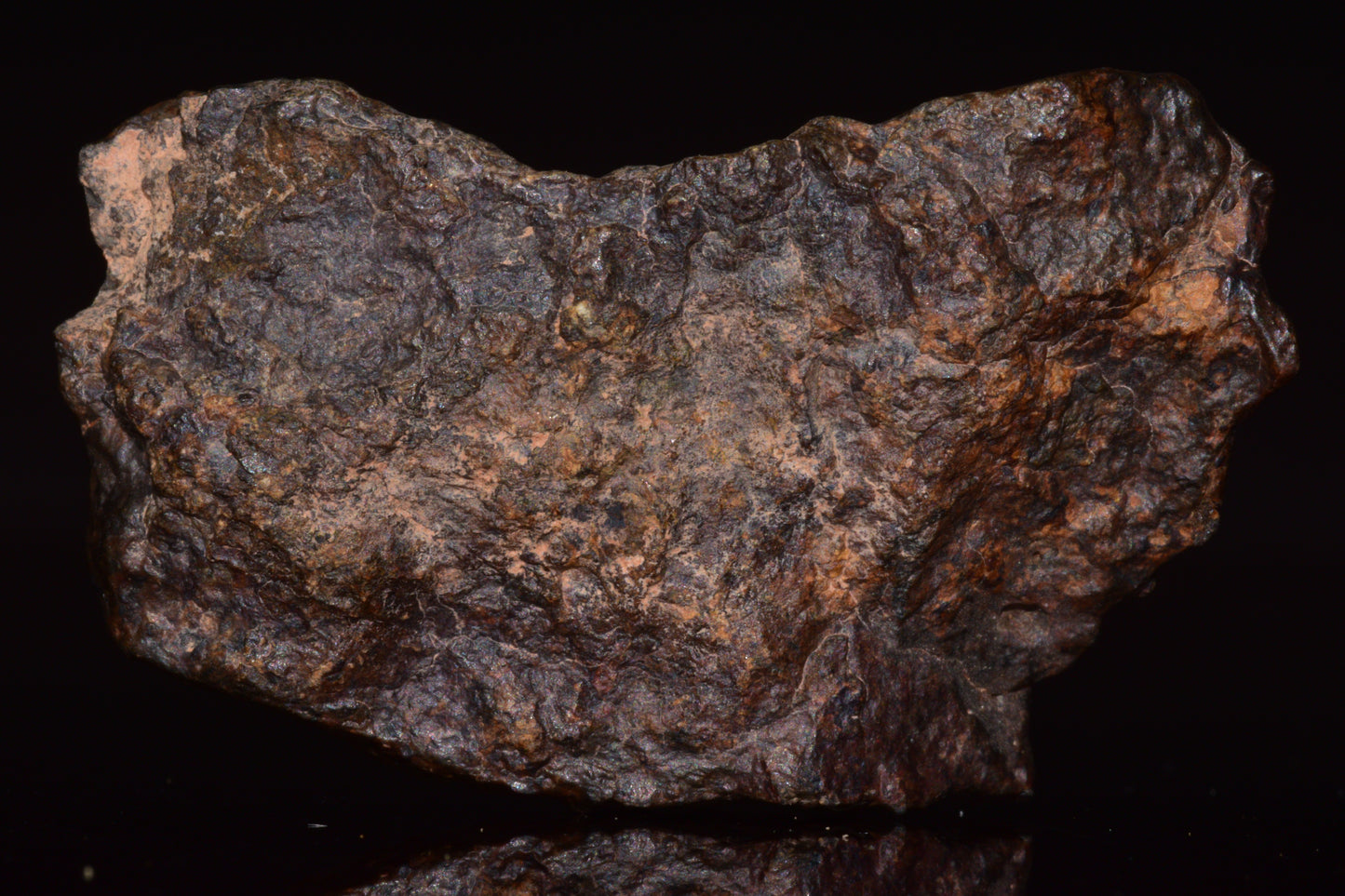 NWA 13272 Ungrouped Achondrite Meteorite