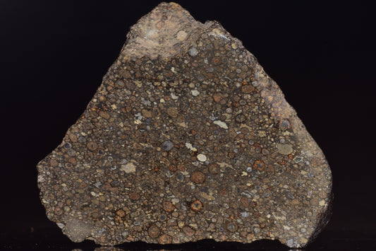 Fragment of NWA 14004 CV3 carbonaceous chondrite meteorite showing dark, rocky texture with mineral inclusions.