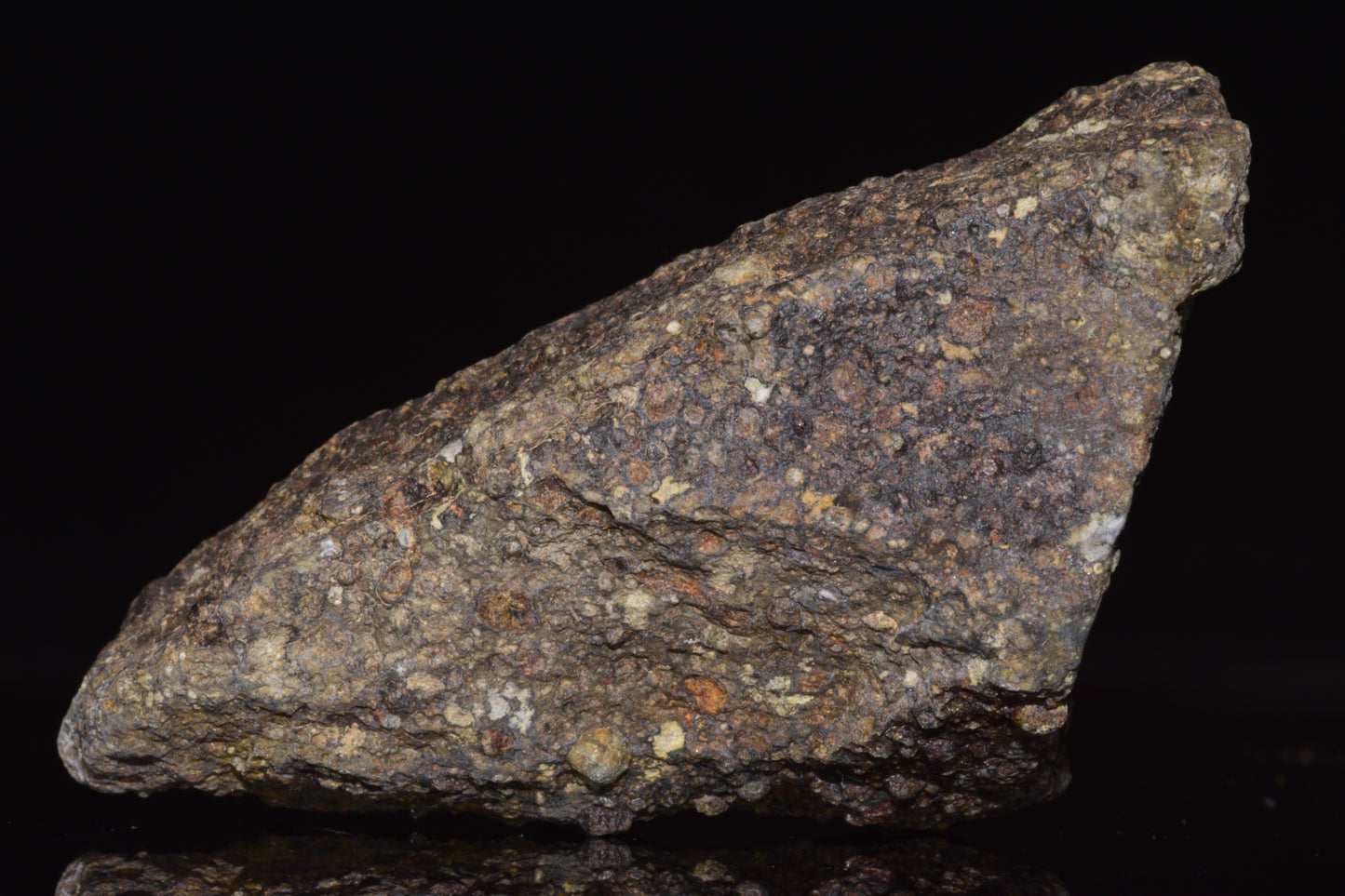 NWA 14004 – CV3 Carbonaceous Chondrite Fragment 