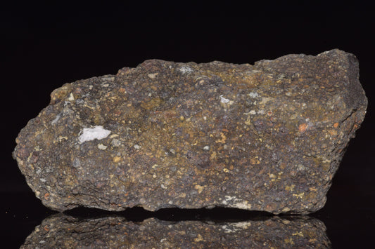 NWA 14004 CV3 meteorite fragment showing dark carbonaceous chondrite texture, weight 92.3 grams, from Buy Meteorite LLC.