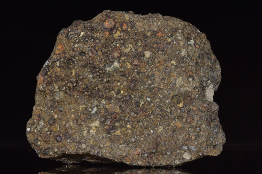 NWA 14004 CV3 meteorite fragment from Buy Meteorite LLC, showing a 69.6g carbonaceous chondrite with textured surface.