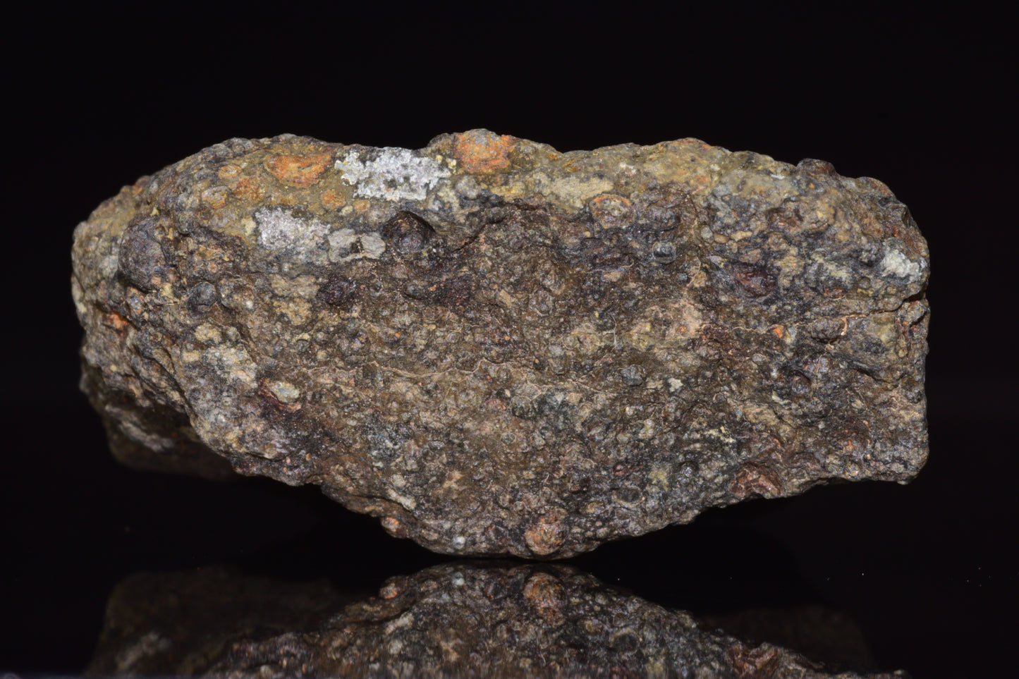NWA 14004 – CV3 Carbonaceous Chondrite Fragment 