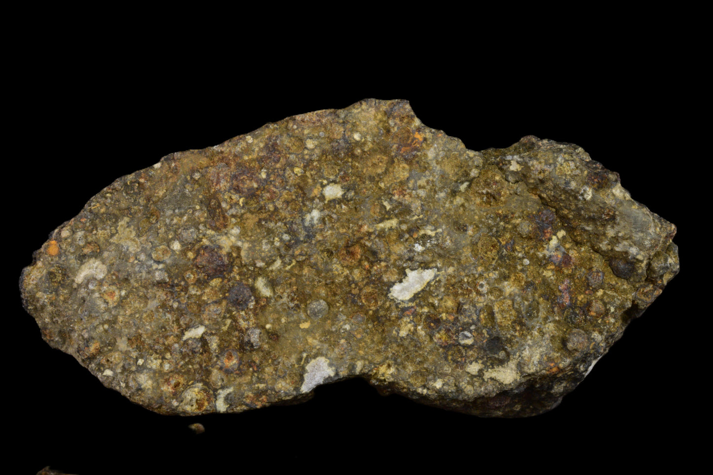 Fragment of NWA 14004 CV3 meteorite weighing 32.40 grams, showing dark fusion crust and metallic interior.