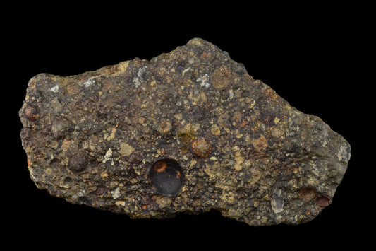 Fragment of NWA 14004 CV3 meteorite showing dark, textured surface with mineral inclusions, weighs 32.01 grams.