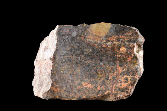 NWA 14224 LL3 meteorite slice weighing 1.57 grams, showcasing its dark, textured surface and mineral details.
