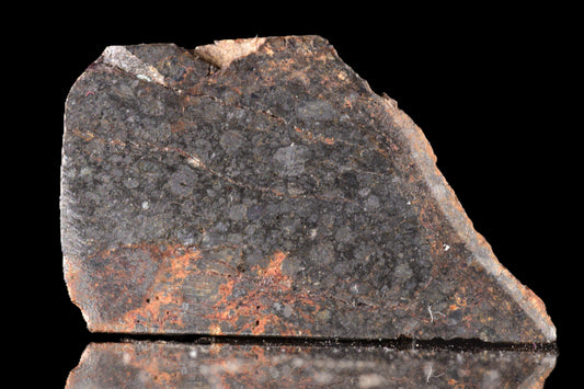 NWA 14224 LL3 meteorite slice weighing 2.53 grams, showing metallic and crusted surface details, from Buy Meteorite, LLC.