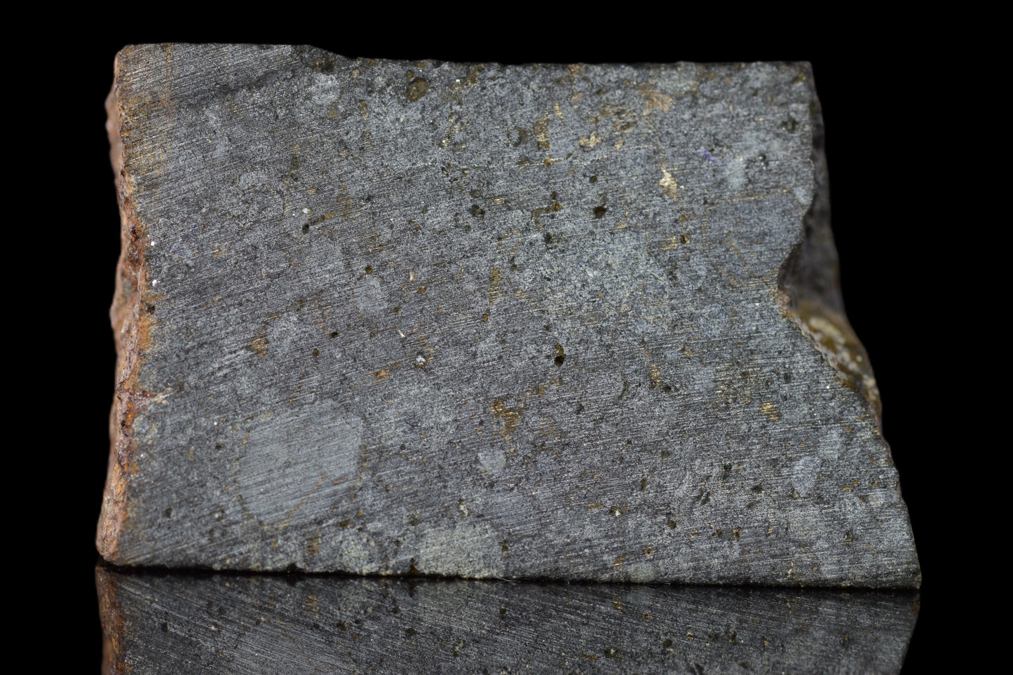 NWA 14224 LL3 meteorite slice from Buy Meteorite, LLC, showing dark fusion crust and metallic mineral interior, weighs 4.07 grams.
