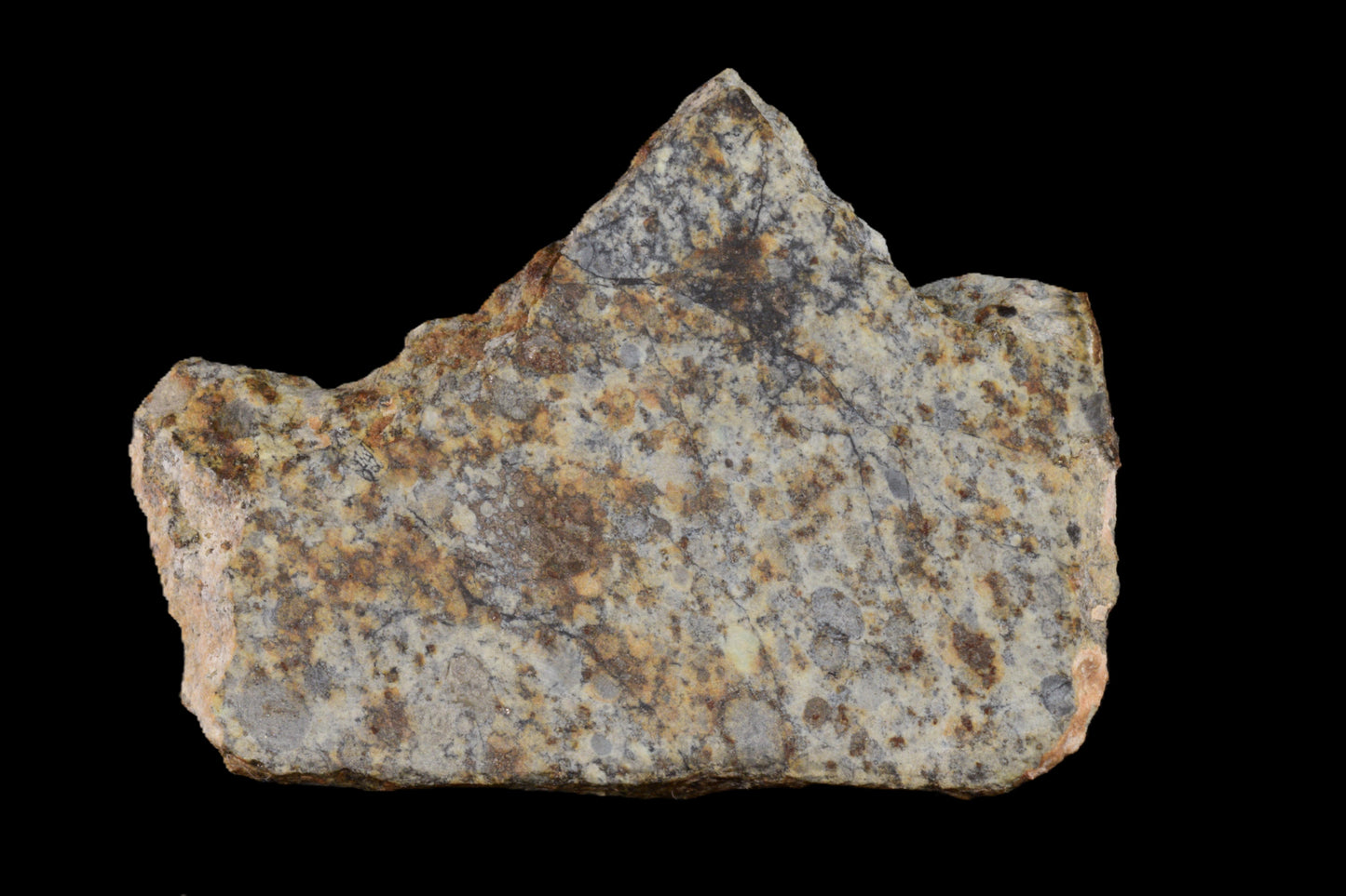 NWA 14225 LL6 chondrite meteorite specimen from Buy Meteorite, LLC, showing a dark, textured space rock weighing 7.10 grams.