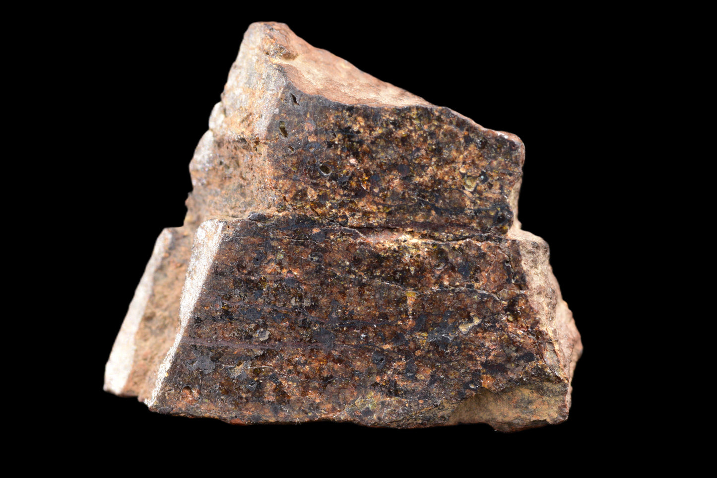 NWA 14234 H7 meteorite with a 3.58g specimen showing rugged, dark exterior and mineral details, from Buy Meteorite, LLC.