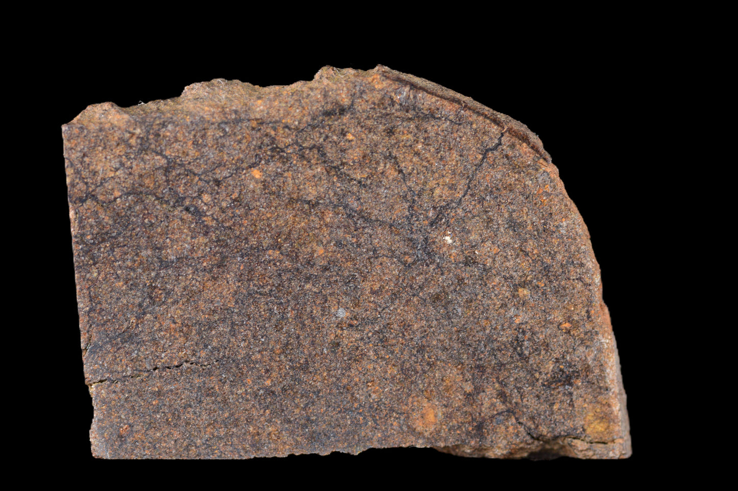 NWA 14235 EL-Melt rOck 5.68 Go