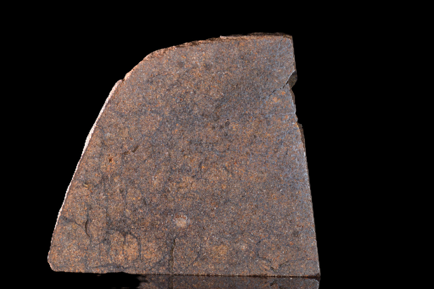 NWA 14235 EL-Melt rock 6.75 G