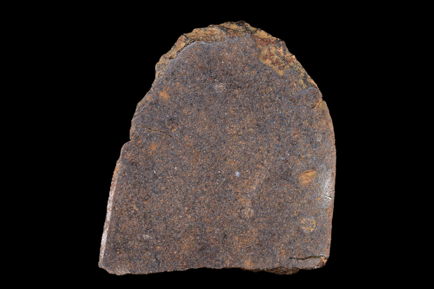 NWA 14235 EL-Melt rock 9.24 G