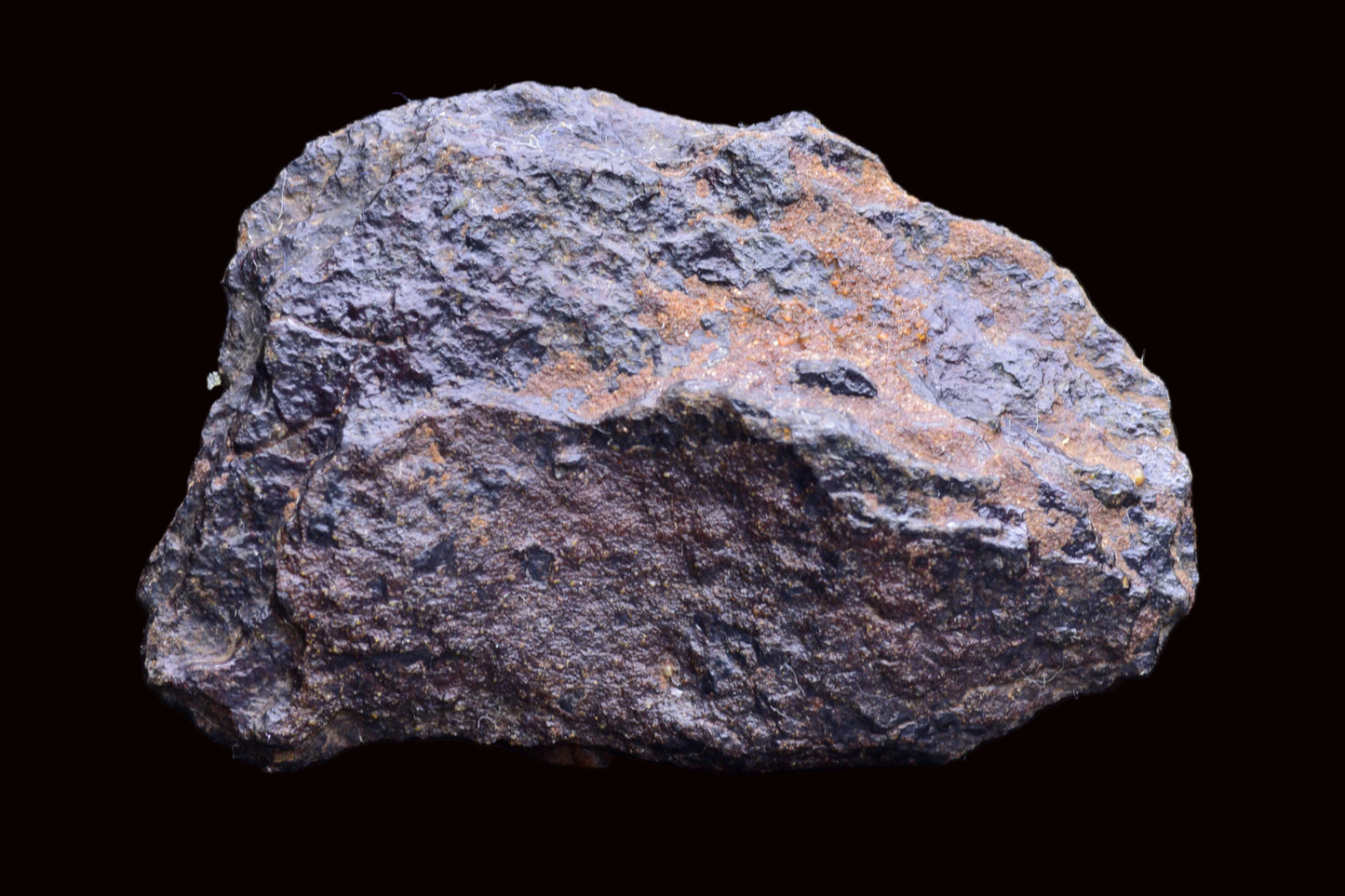 NWA 14867 Mesosiderite Meteorite Endcut Slice