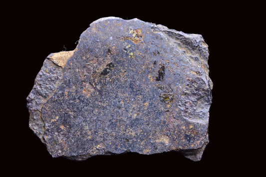 NWA 14867 Mesosiderite Meteorite Endcut Slice