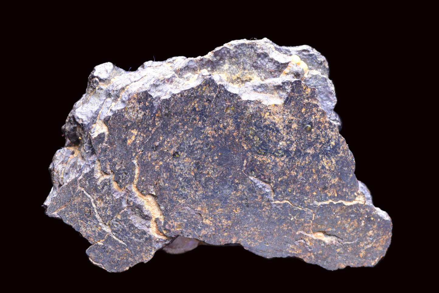 NWA 14867 Mesosiderite Meteorite Endcut Slice