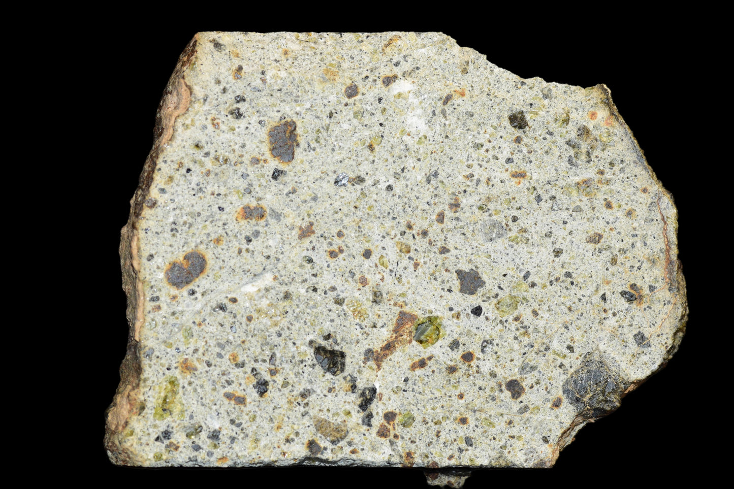 NWA 14868 Diogenite Meteorite – Polymict HED Achondrite for Sale