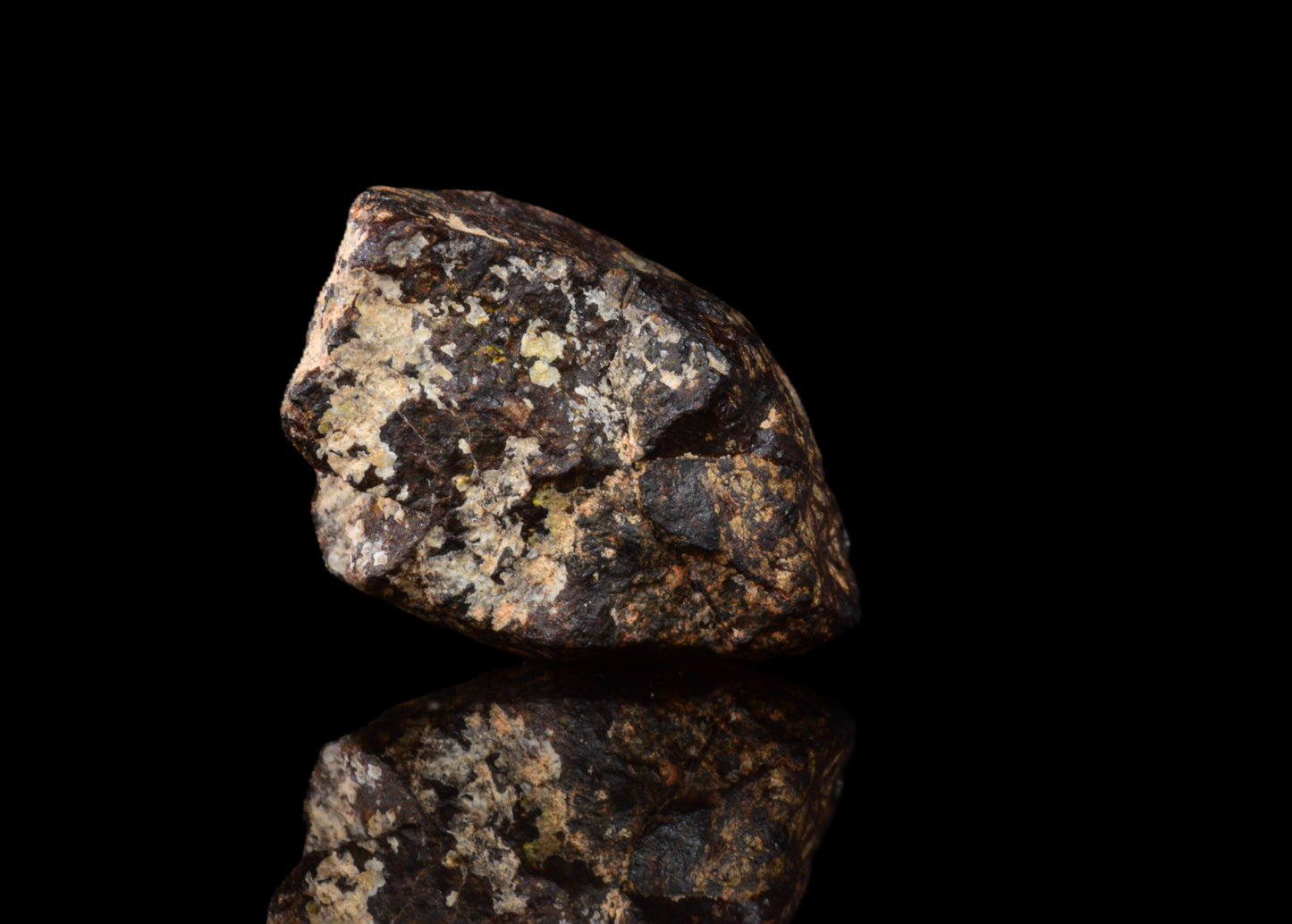 NWA 14869 Diogenite melt breccia 0.95 g