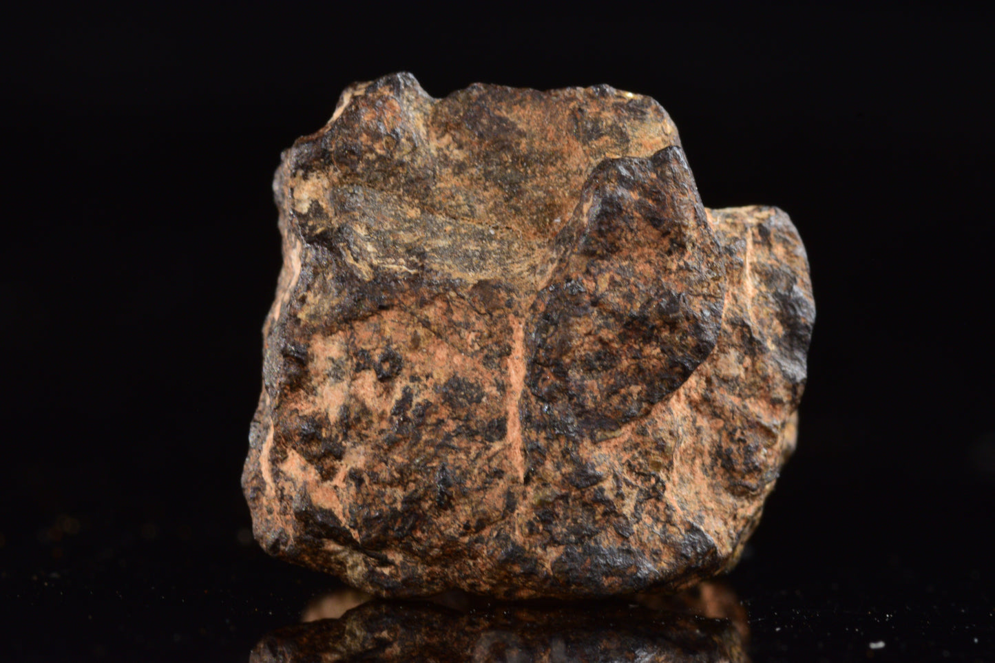 NWA 14869 Diogenite melt breccia 2.08 g