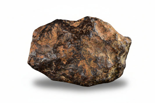 NWA 14869 Diogenite melt breccia 2.52 g