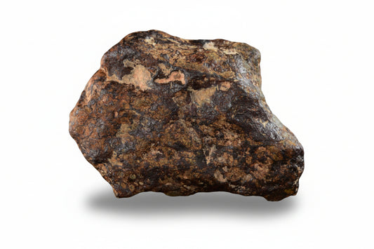 NWA 14869 Diogenite melt breccia 2.58 g