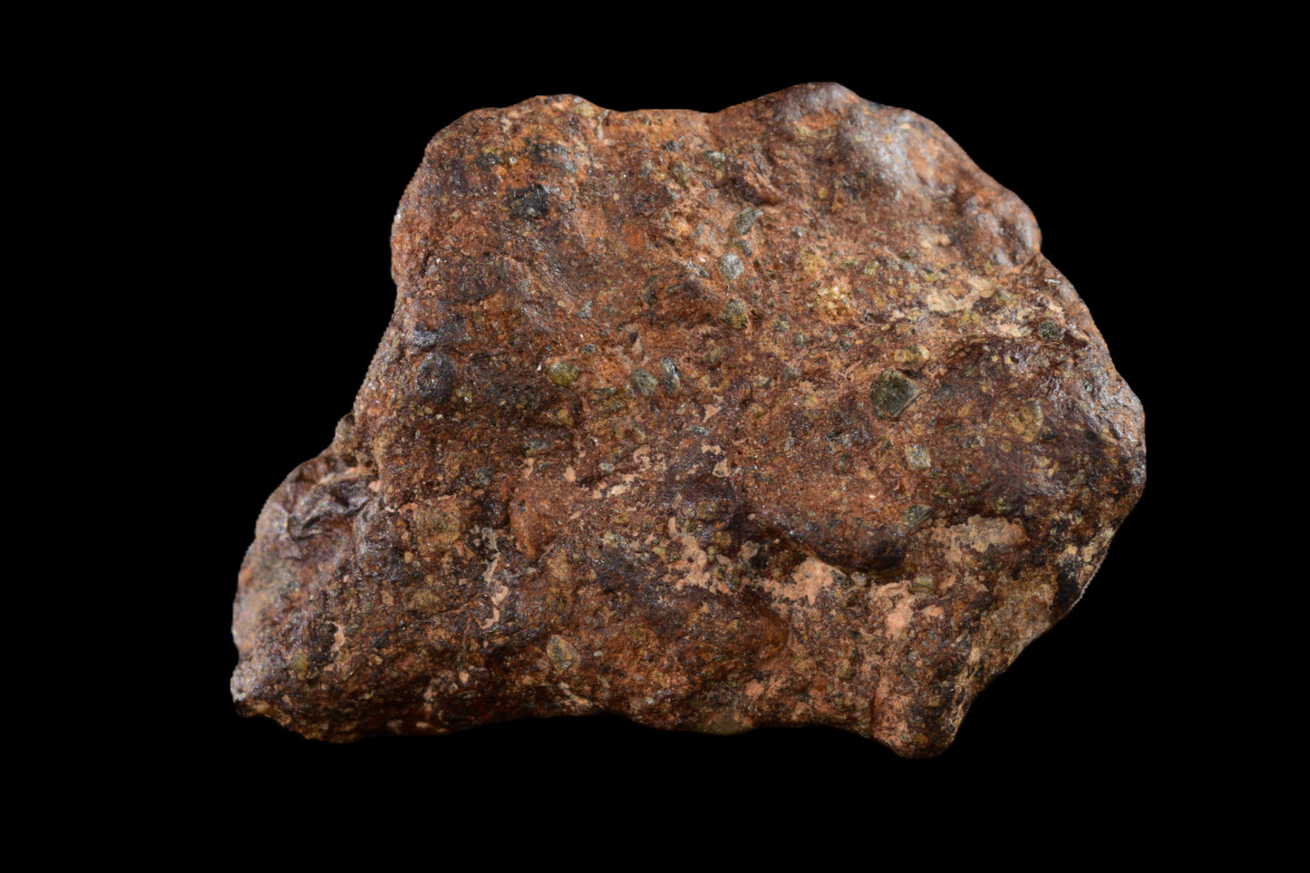 NWA 14869 Diogenite melt breccia 2.58 g