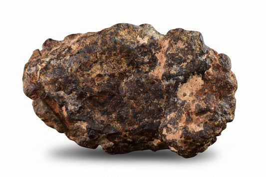 NWA 14869 Diogenite melt breccia 4.10 g