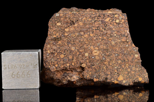 NWA 14870 CR2 Meteorite For Sale