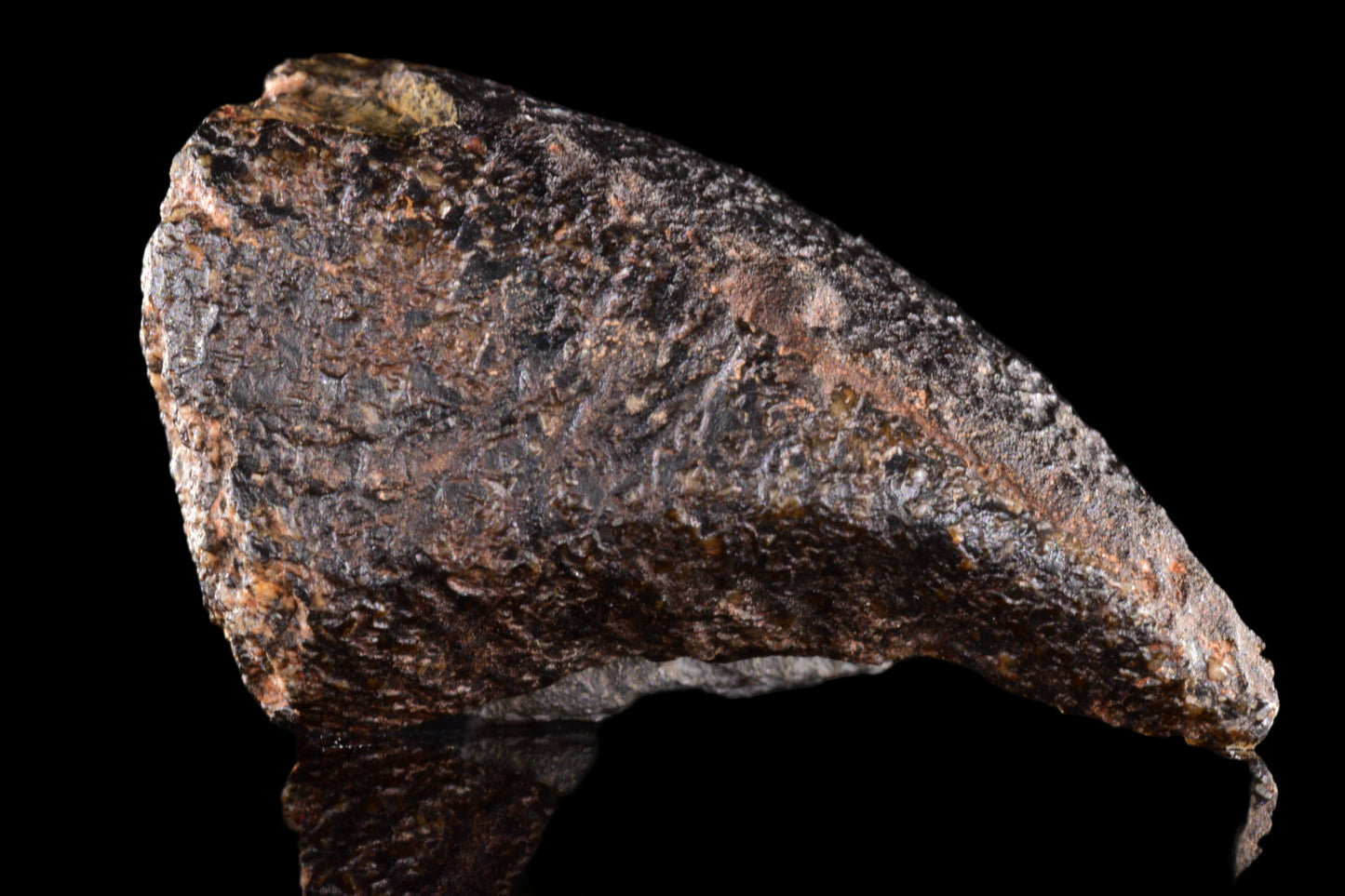 NWA 15417 – Eucrite Achondrite Meteorite Endcut