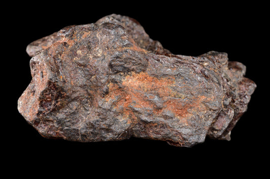 NWA 15971 Pallasite PMG 13.59 G
